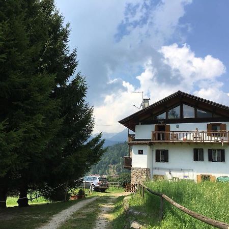 Casa Bernard Zortea Vanoi Cuore Verde Del Trentino คานาเล ซาน โบโว ภายนอก รูปภาพ
