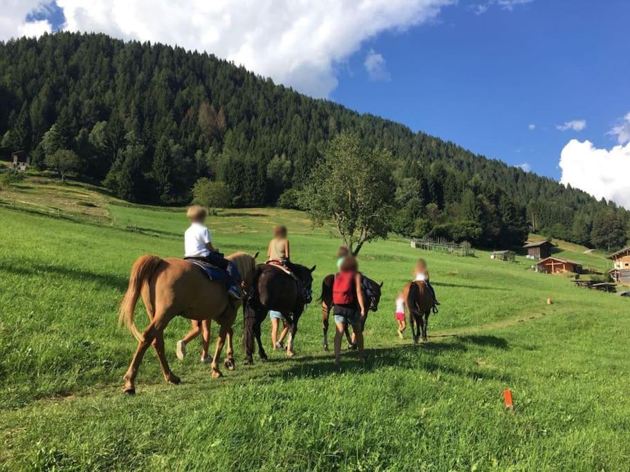 Casa Bernard Zortea Vanoi Cuore Verde Del Trentino คานาเล ซาน โบโว ภายนอก รูปภาพ