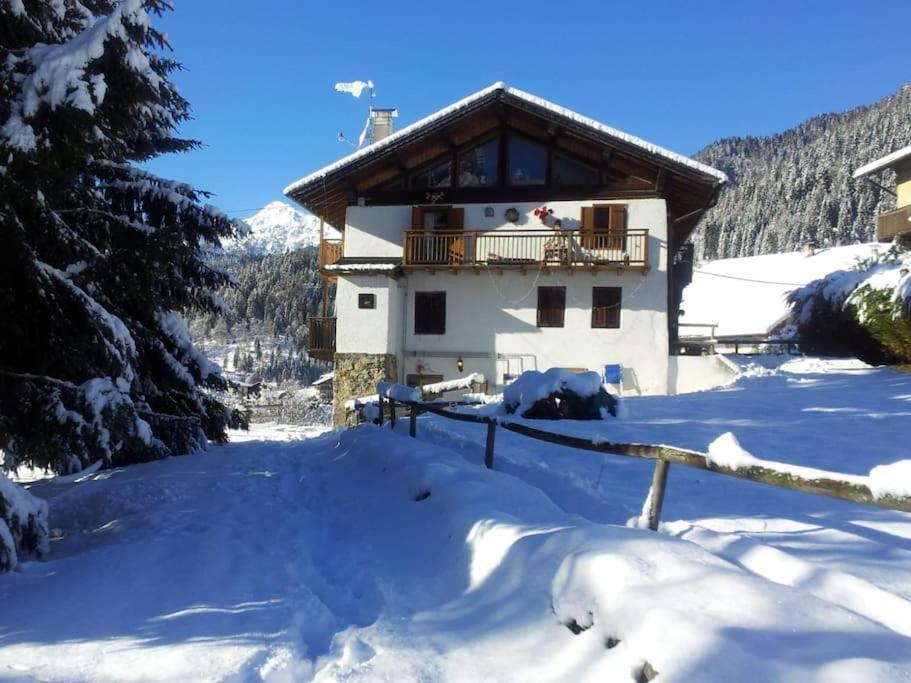 Casa Bernard Zortea Vanoi Cuore Verde Del Trentino คานาเล ซาน โบโว ภายนอก รูปภาพ